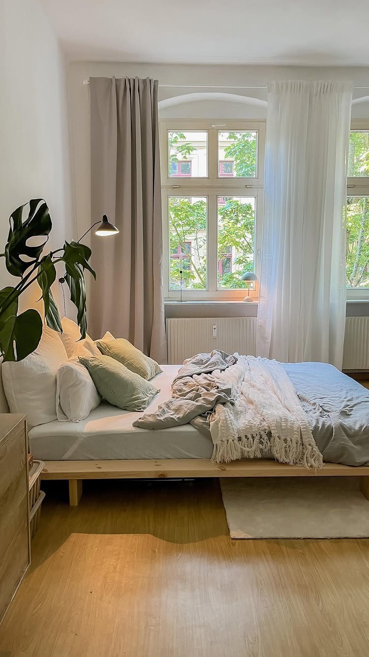 15 Apartment Decor Inspiration Ideas for Small Living Spaces 15 Low wooden bed with grey linens and a monstera plant in a bright room