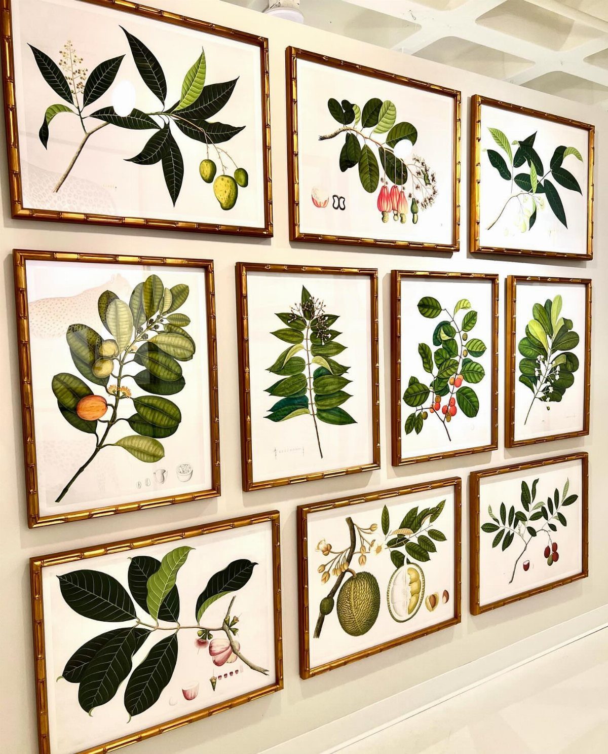 Botanical art prints with various green leaves and fruits in gold frames on a white wall.