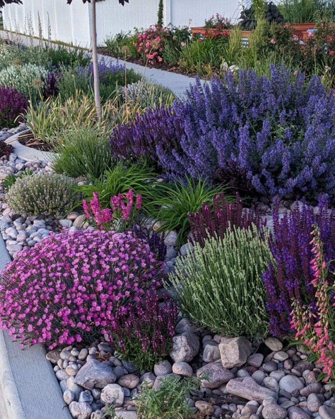 20 Garden Ideas for Small Spaces, From Vertical to Fire Pits 11 Purple and pink flowering plants arranged with grey river stones along a concrete path.
