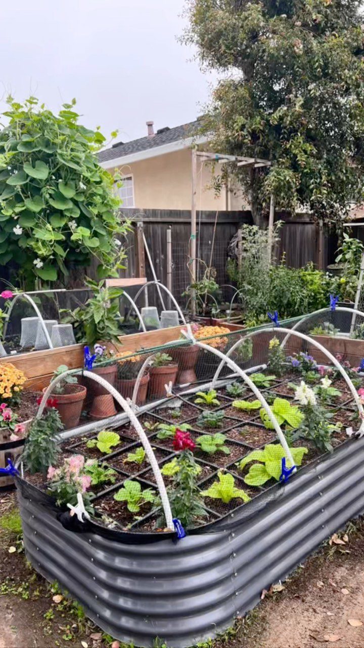 20 Garden Ideas for Small Spaces, From Vertical to Fire Pits 3 Corrugated metal raised garden bed with white plastic hoops and various green plants.