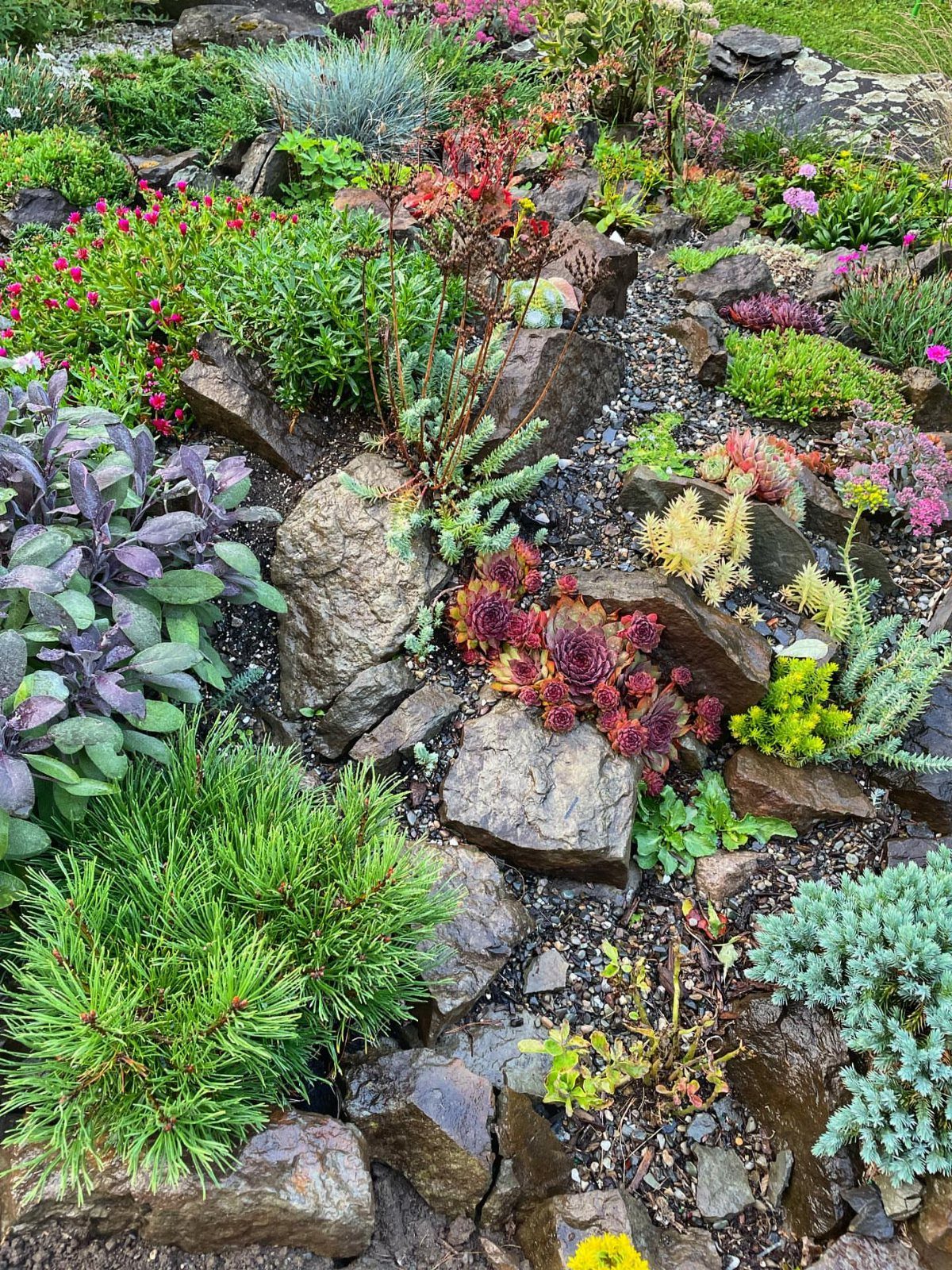 20 Garden Ideas for Small Spaces, From Vertical to Fire Pits 19 Rock garden with colorful succulents and alpine plants arranged among brown jagged stones.
