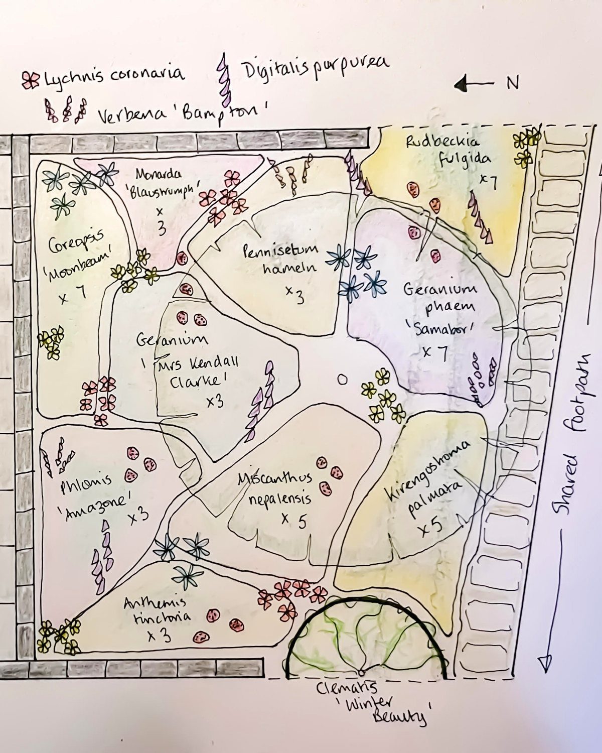 20 Garden Ideas for Small Spaces, From Vertical to Fire Pits 15 Hand-drawn garden layout sketch with labeled plant zones and colored sections on white paper.
