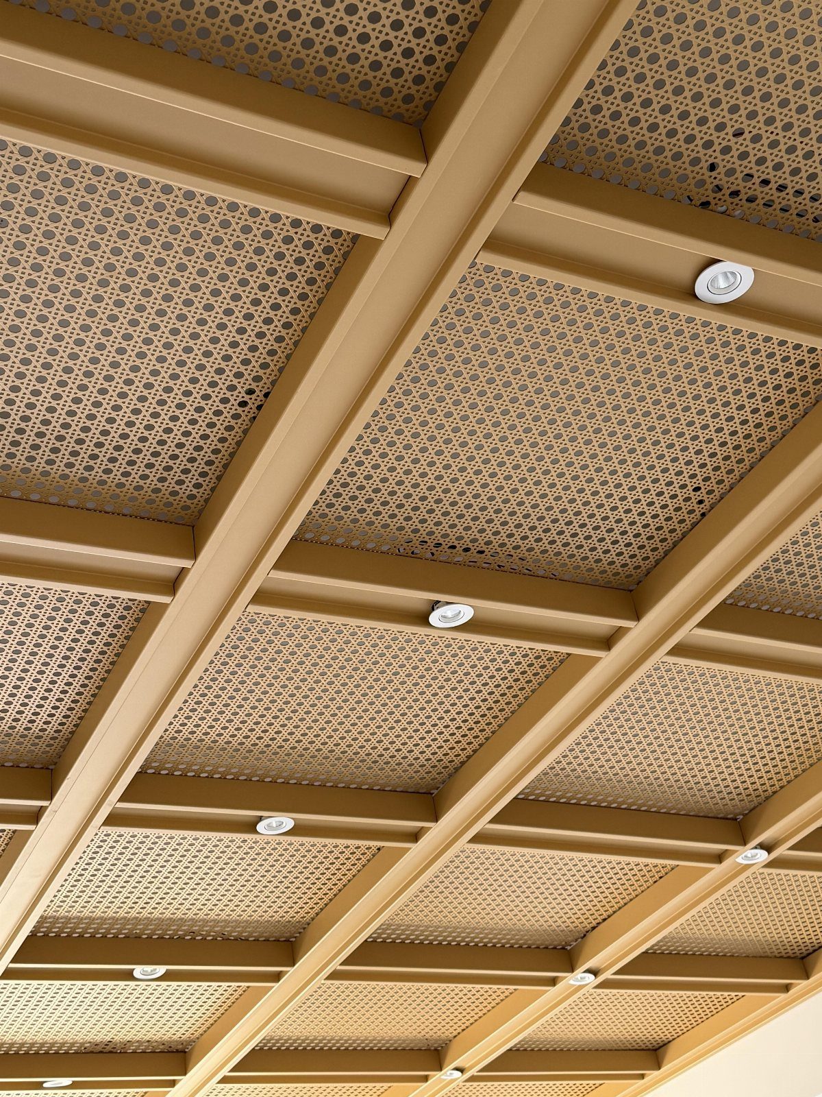 Tan geometric ceiling with a grid of beams and perforated mesh panels.