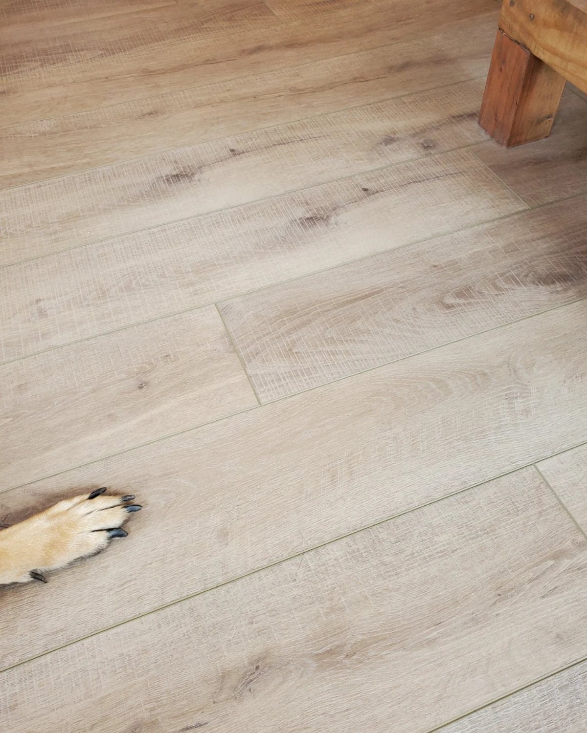 LVP That Looks Like Real Wood: 6 Ideas to Pull It Off 1 Light wood-look vinyl planks on a floor with a dog's paw visible.