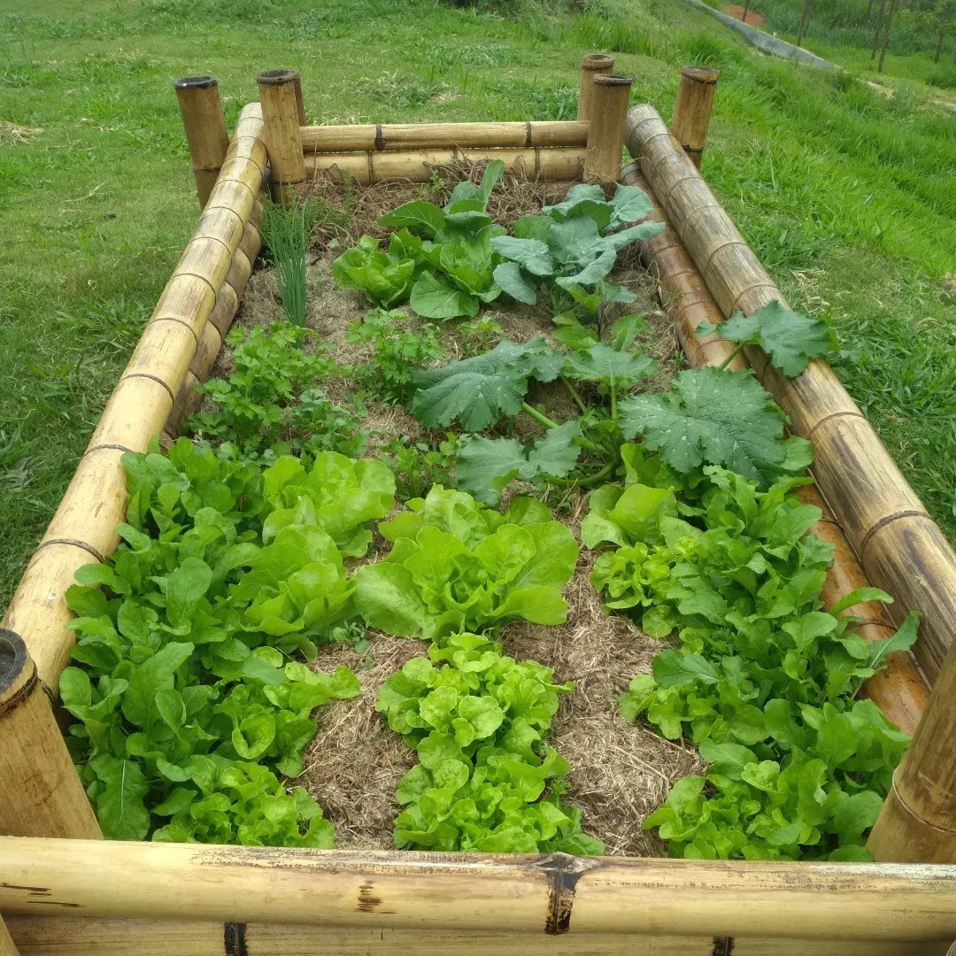 Painted Raised Garden Beds: 11 Ideas for Your Yard 8 Bamboo raised garden bed filled with green leafy vegetables on a grassy lawn