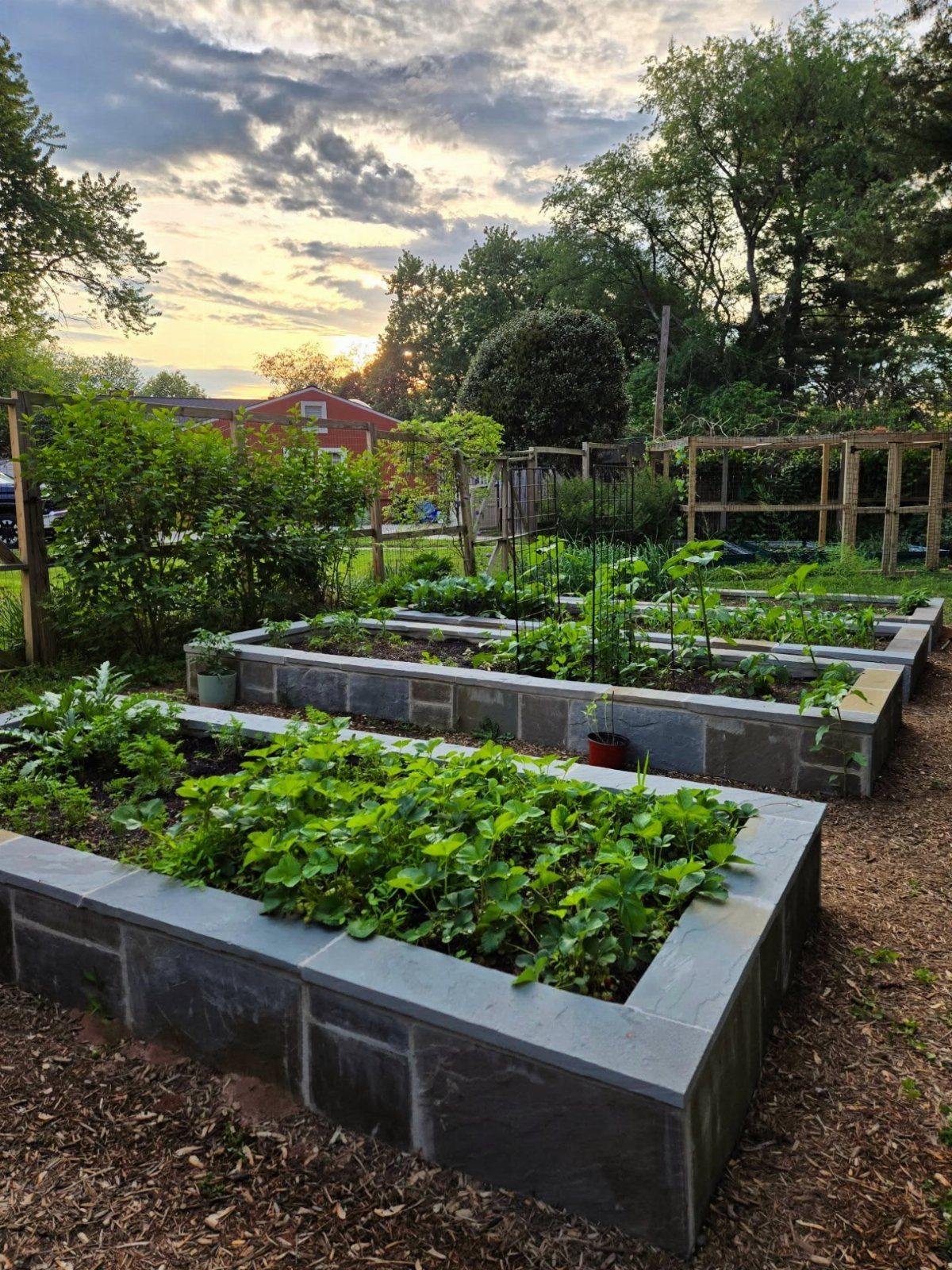 Painted Raised Garden Beds: 11 Ideas for Your Yard 6 Grey stone raised garden beds filled with green plants in a backyard garden.