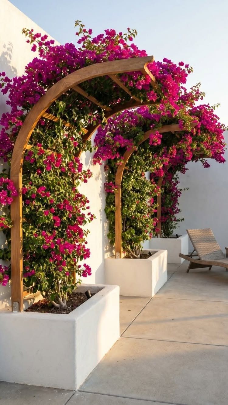 Painted Raised Garden Beds: 11 Ideas for Your Yard 4 White raised garden beds with pink bougainvillea climbing natural wood arched trellises.