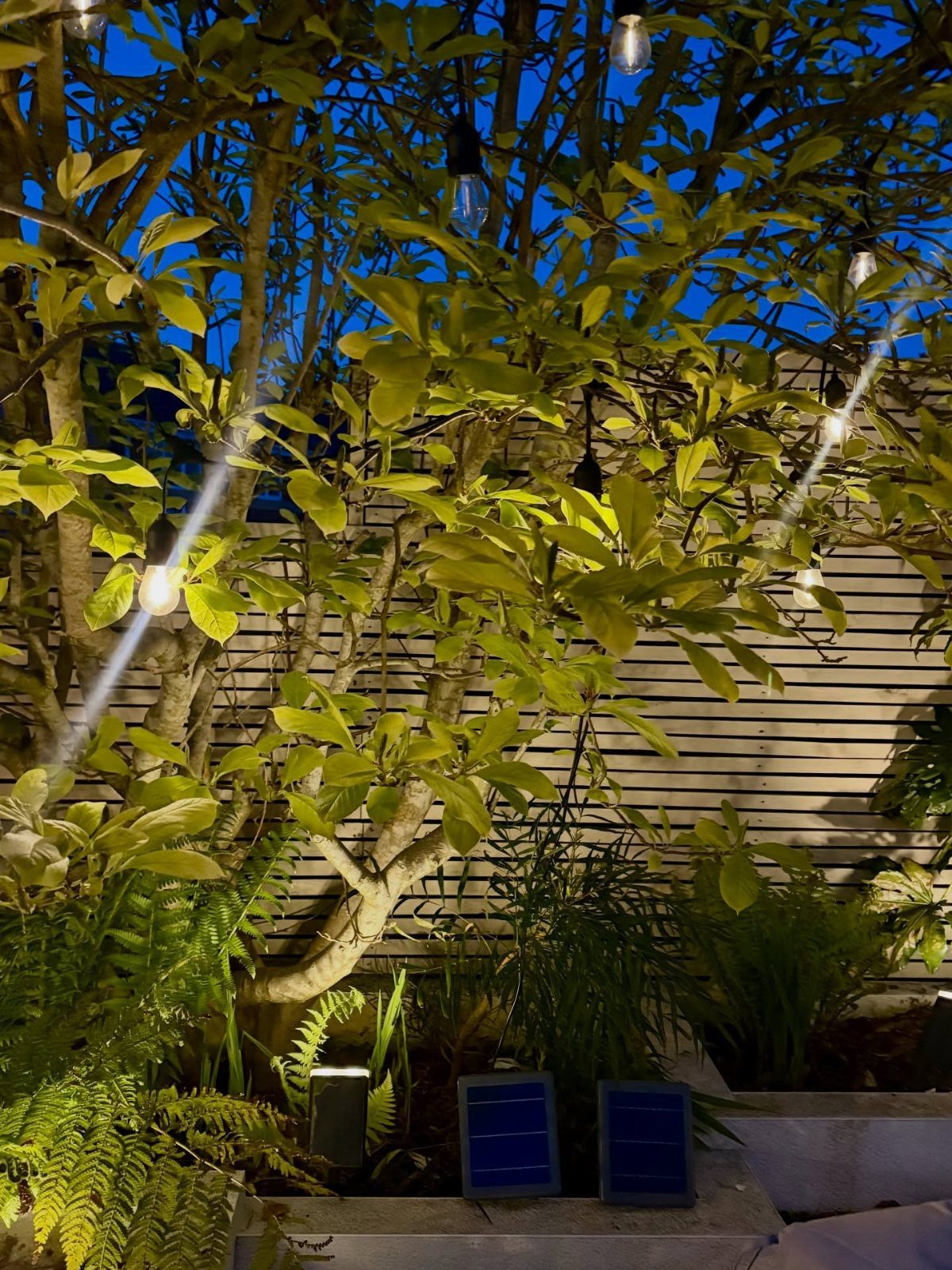25 Patio Lights Ideas, From String Lights to Step Lighting 5 Illuminated tree with hanging string lights and spotlights against a wooden slat fence.