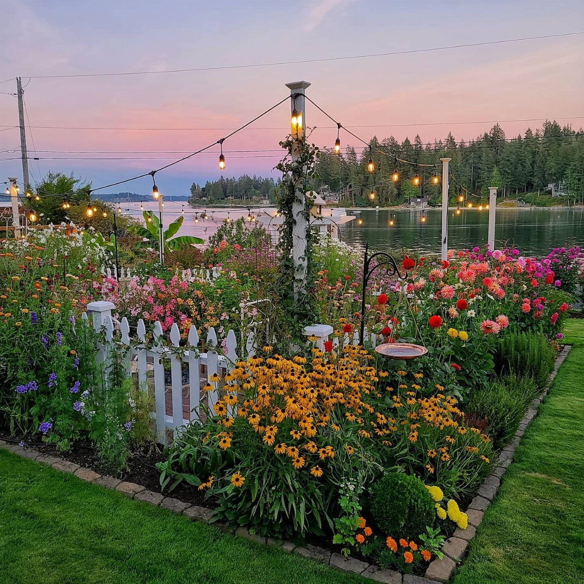 White picket fence surrounding a vibrant flower bed with colorful blooms at sunset.