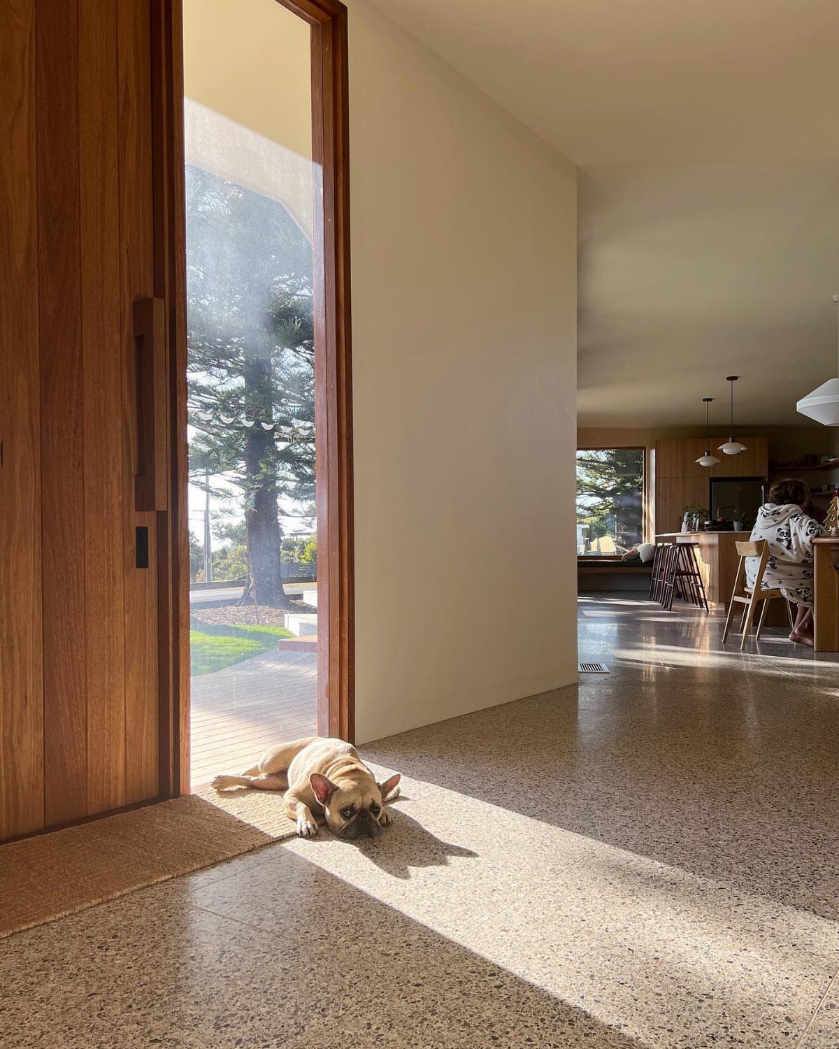 Light-colored terrazzo flooring in a bright room with a dog lying by a door.